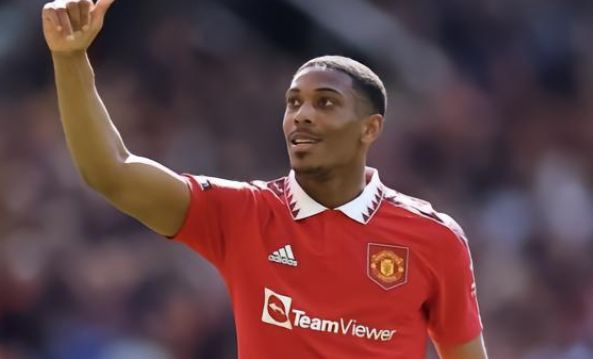 但因伤病错 但因伤病错